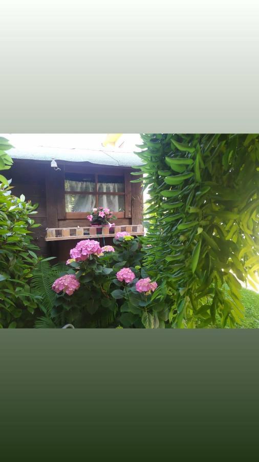 Al Casale B&B Casalserugo Екстер'єр фото